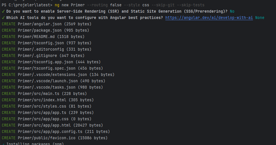 Angular CLI ile ng serve komutu ve dev server
