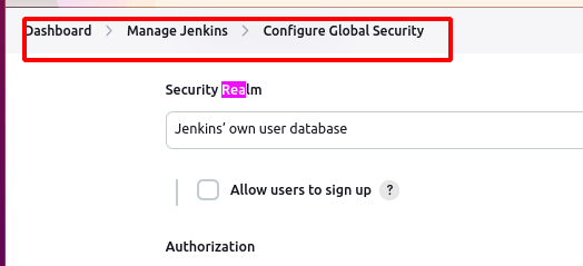 jenkins security dosyası