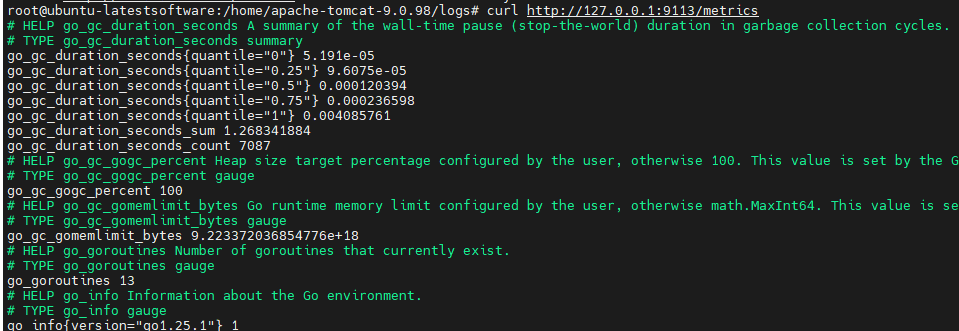 nginx prometheus exporter metrics çıktısı