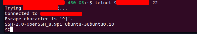 Telnet komutu ile port testi yapan bir terminal ekranı
