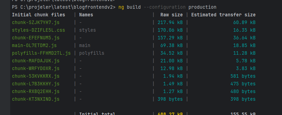 ng build terminal çıktısı
